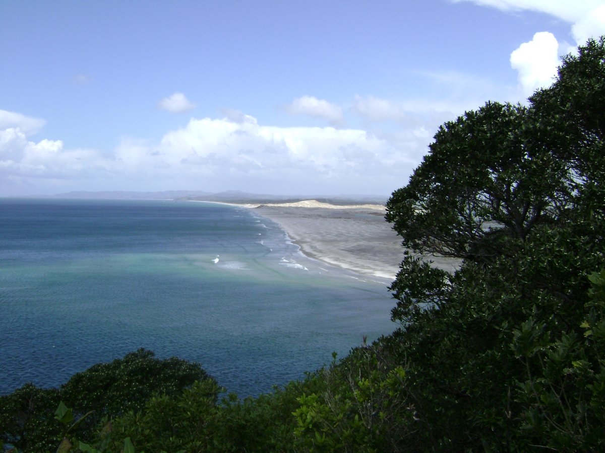 What's happening with the Gumdiggers Track in Mangawhai?